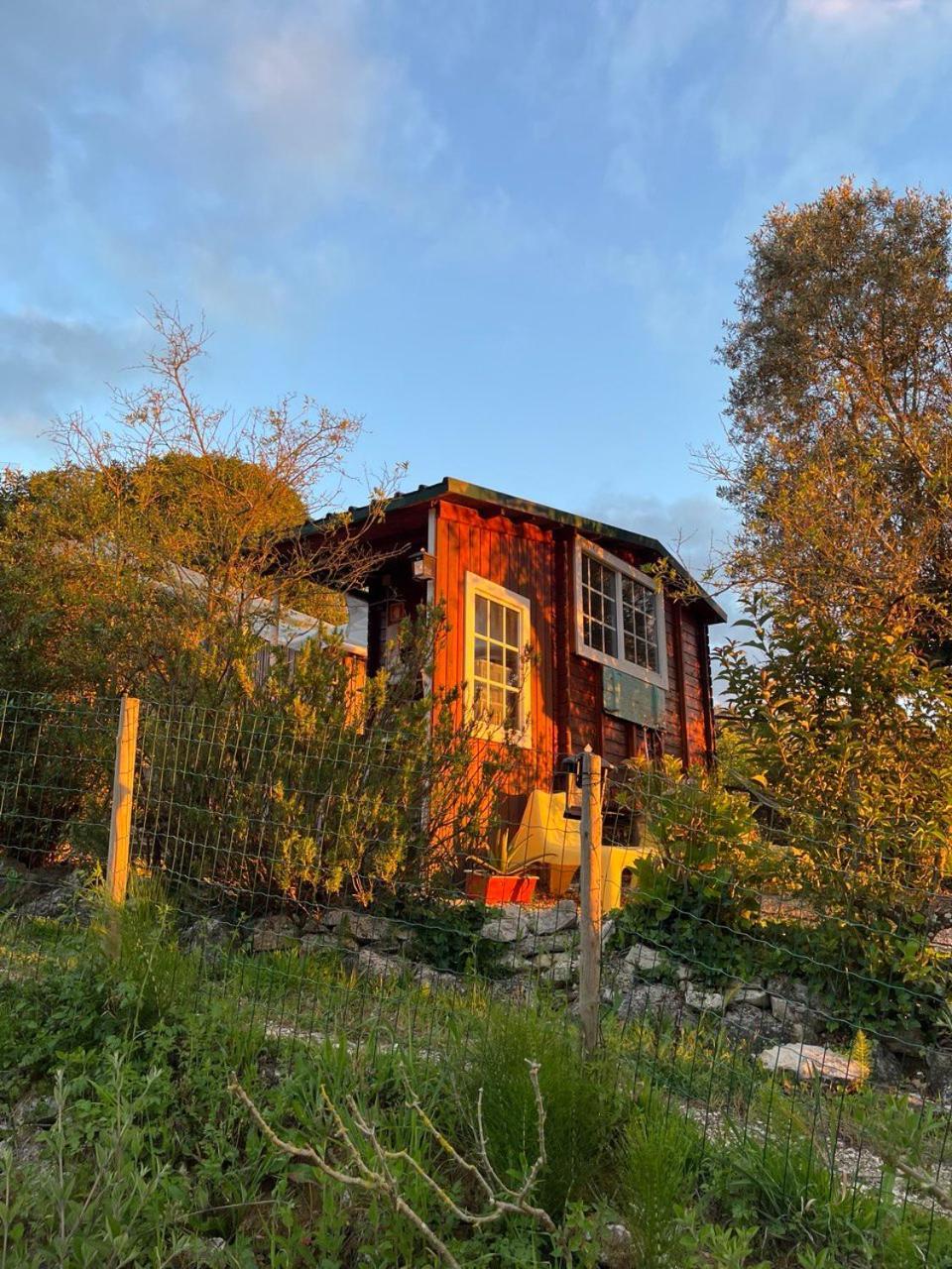 Quinta Laranja - Turismo Rural - Alvorninha Exterior foto